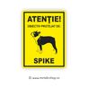 Placheta Atentie!