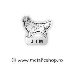 Magnet Dogs