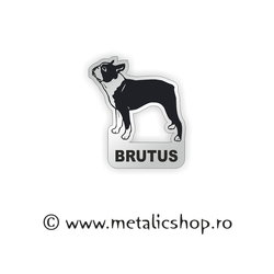 Magnet Dogs