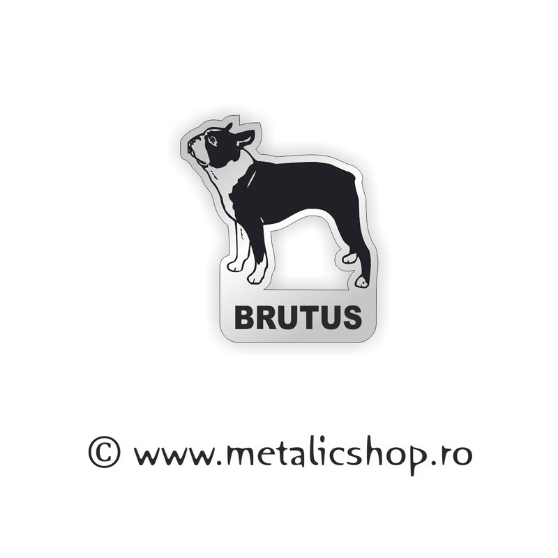 Magnet Dogs