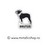 Magnet Dogs