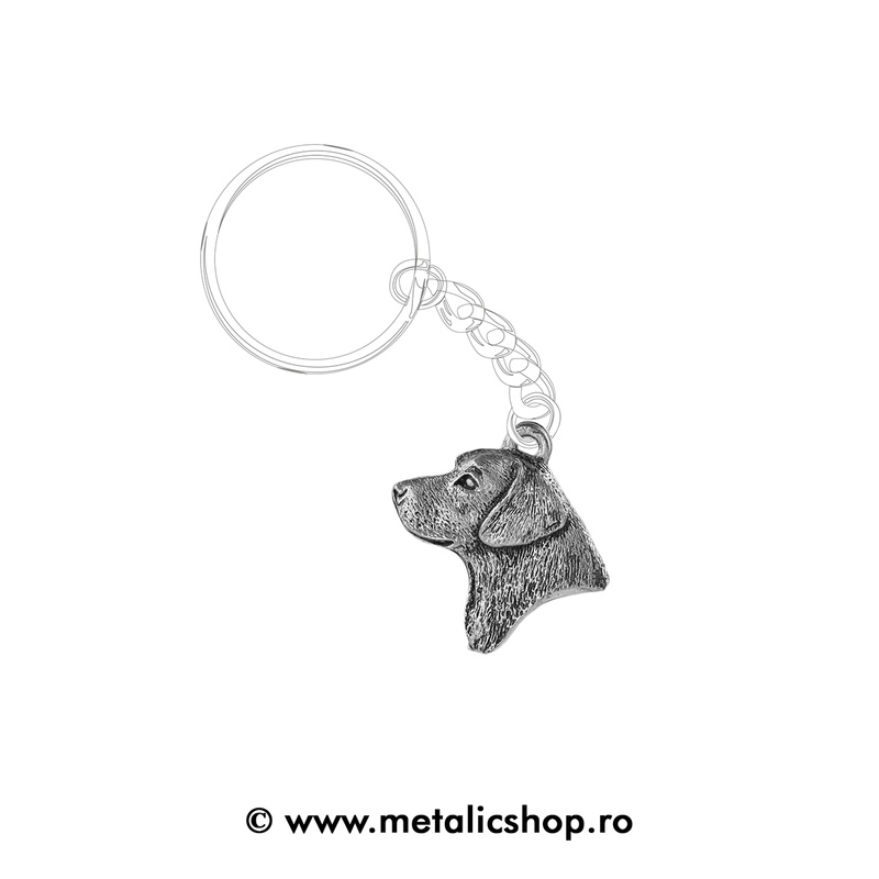 Labrador 2