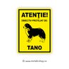 Placheta Atentie Obiectiv Protejat!