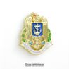 Insigna Fortele Navale