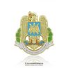 Insigna Fortele Aeriene