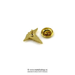 Insigna Medicina