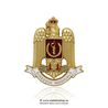 Insigna Directia Medicala