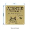 Placheta Pisica Dilie