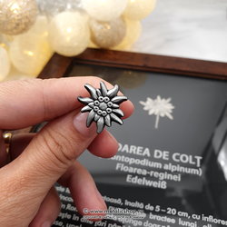 Insigna Floare de Colt