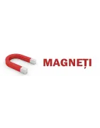 Magneti